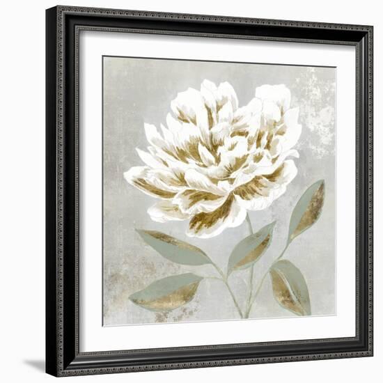 White Sage I-Aria K-Framed Premium Giclee Print