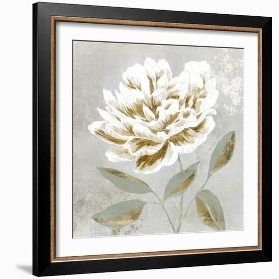 White Sage I-Aria K-Framed Art Print