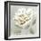 White Sage I-Aria K-Framed Art Print