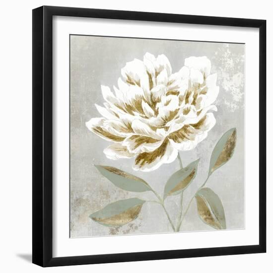 White Sage I-Aria K-Framed Art Print
