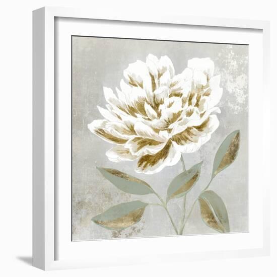 White Sage I-Aria K-Framed Art Print