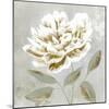 White Sage I-Aria K-Mounted Art Print