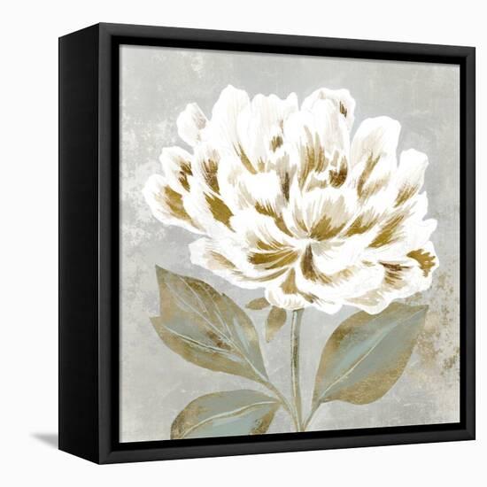 White Sage II-Aria K-Framed Stretched Canvas