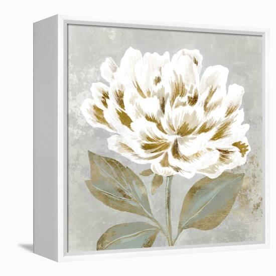 White Sage II-Aria K-Framed Stretched Canvas