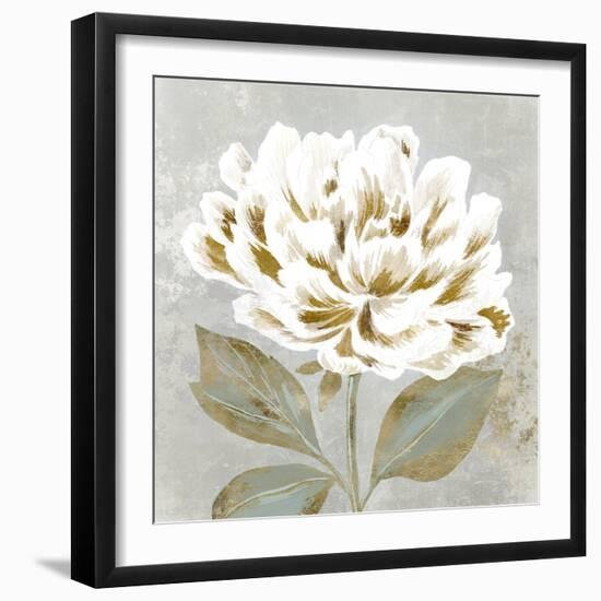 White Sage II-Aria K-Framed Art Print