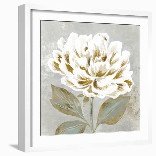 White Sage II-Aria K-Framed Art Print