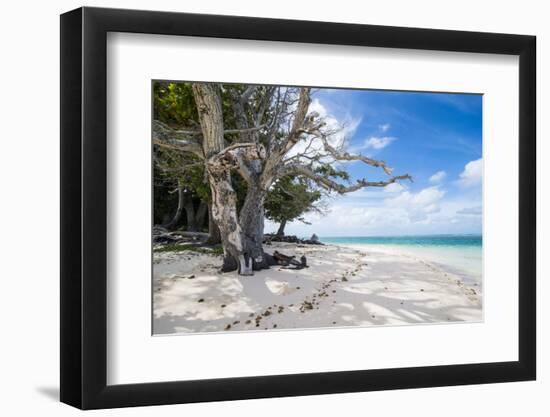 White sand and turquoise water at Laura (Lowrah) beach, Majuro atoll, Majuro, Marshall Islands, Sou-Michael Runkel-Framed Photographic Print