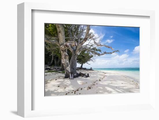 White sand and turquoise water at Laura (Lowrah) beach, Majuro atoll, Majuro, Marshall Islands, Sou-Michael Runkel-Framed Photographic Print