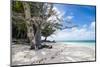White sand and turquoise water at Laura (Lowrah) beach, Majuro atoll, Majuro, Marshall Islands, Sou-Michael Runkel-Mounted Photographic Print