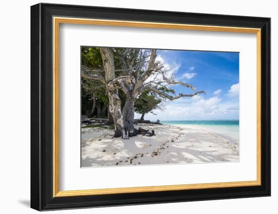 White sand and turquoise water at Laura (Lowrah) beach, Majuro atoll, Majuro, Marshall Islands, Sou-Michael Runkel-Framed Photographic Print