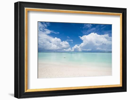 White sand and turquoise water in the beautiful lagoon of Funafuti, Tuvalu, South Pacific-Michael Runkel-Framed Photographic Print