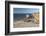 White Sand Beach and Pink Rocks, Cote De Granit Rose-Stuart Black-Framed Photographic Print