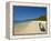 White Sand Beach at the Ile Aux Nates (Nosy Nata), Near Ile Sainte Marie, Madagascar, Indian Ocean-null-Framed Premier Image Canvas