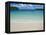 White Sand Beach, Bay de Kanumera, Ile Des Pins, New Caledonia, Melanesia, South Pacific, Pacific-Michael Runkel-Framed Premier Image Canvas