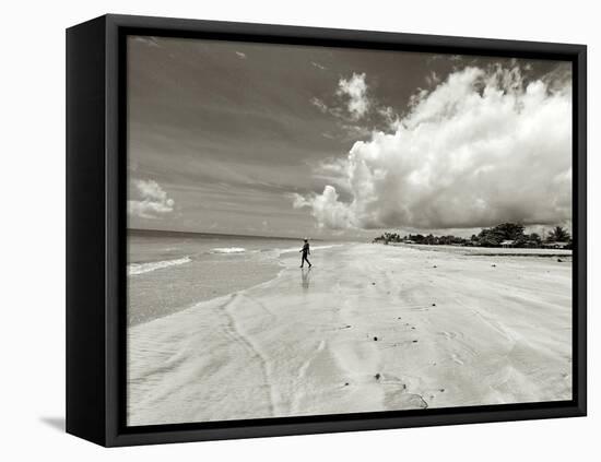 White Sand Beach, Ilha De Itamaraca, Pernambuco, Brazil-Anthony Asael-Framed Premier Image Canvas