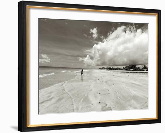 White Sand Beach, Ilha De Itamaraca, Pernambuco, Brazil-Anthony Asael-Framed Photographic Print