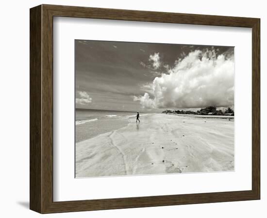 White Sand Beach, Ilha De Itamaraca, Pernambuco, Brazil-Anthony Asael-Framed Photographic Print