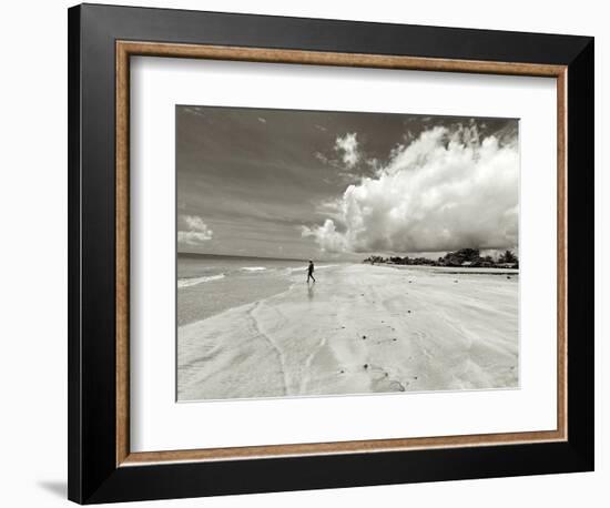 White Sand Beach, Ilha De Itamaraca, Pernambuco, Brazil-Anthony Asael-Framed Photographic Print