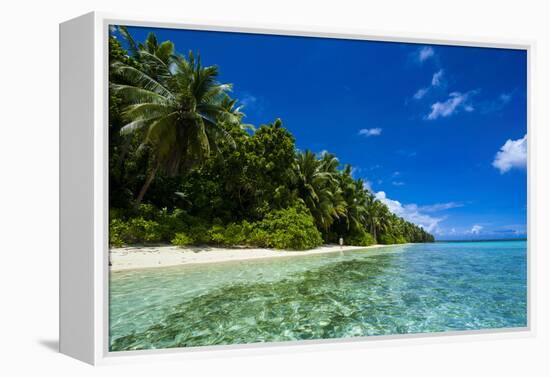 White Sand Beach in Turquoise Water in the Ant Atoll, Pohnpei, Micronesia-Michael Runkel-Framed Premier Image Canvas