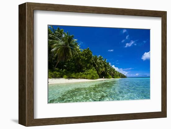 White Sand Beach in Turquoise Water in the Ant Atoll, Pohnpei, Micronesia-Michael Runkel-Framed Photographic Print