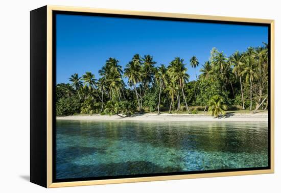 White Sand Beach, Nanuya Lailai Island, Blue Lagoon, Yasawa, Fiji, South Pacific-Michael Runkel-Framed Premier Image Canvas