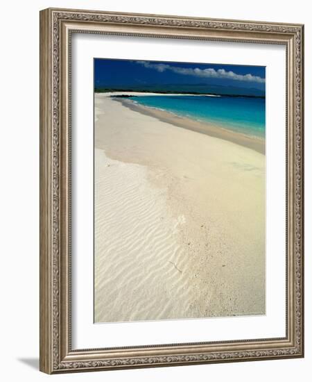 White Sand Beach, San Cristobal Island, Galapagos Islands, Ecuador-Jack Stein Grove-Framed Photographic Print