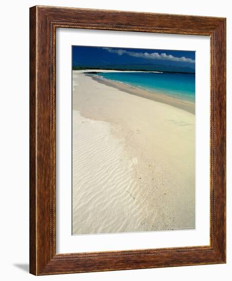 White Sand Beach, San Cristobal Island, Galapagos Islands, Ecuador-Jack Stein Grove-Framed Photographic Print