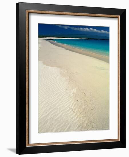 White Sand Beach, San Cristobal Island, Galapagos Islands, Ecuador-Jack Stein Grove-Framed Photographic Print