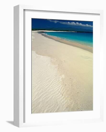 White Sand Beach, San Cristobal Island, Galapagos Islands, Ecuador-Jack Stein Grove-Framed Photographic Print