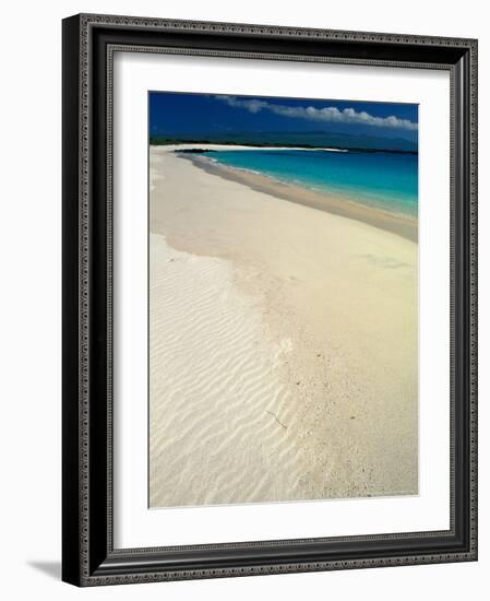 White Sand Beach, San Cristobal Island, Galapagos Islands, Ecuador-Jack Stein Grove-Framed Photographic Print