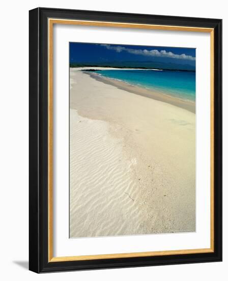 White Sand Beach, San Cristobal Island, Galapagos Islands, Ecuador-Jack Stein Grove-Framed Photographic Print