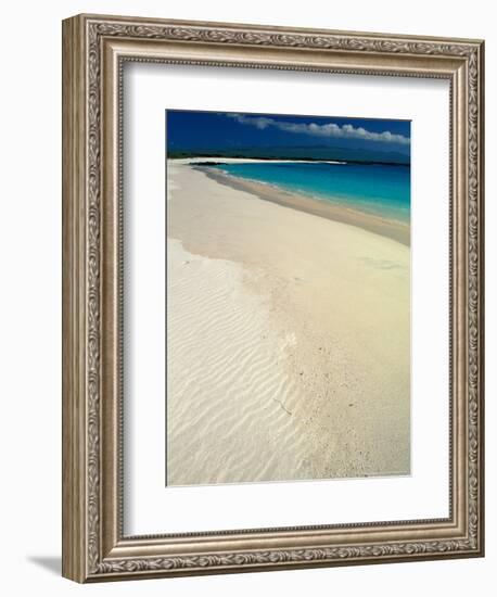 White Sand Beach, San Cristobal Island, Galapagos Islands, Ecuador-Jack Stein Grove-Framed Photographic Print