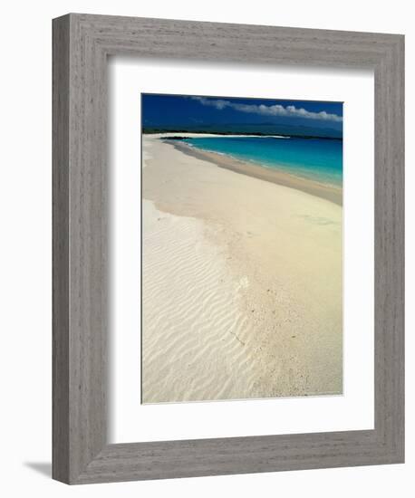 White Sand Beach, San Cristobal Island, Galapagos Islands, Ecuador-Jack Stein Grove-Framed Photographic Print