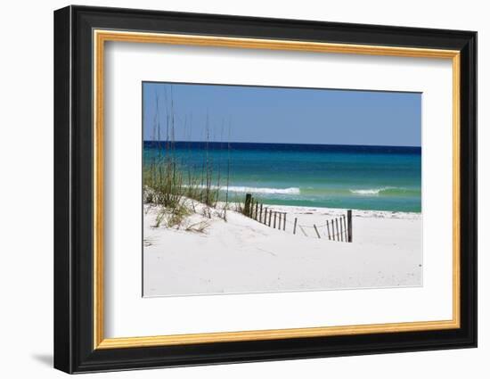 White Sand Beach-Corey Chestnut-Framed Photographic Print