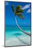 White sand PK-9 beach, Fakarava, Tuamotu archipelago, French Polynesia-Michael Runkel-Mounted Photographic Print