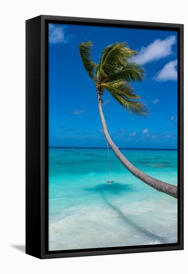 White sand PK-9 beach, Fakarava, Tuamotu archipelago, French Polynesia-Michael Runkel-Framed Premier Image Canvas