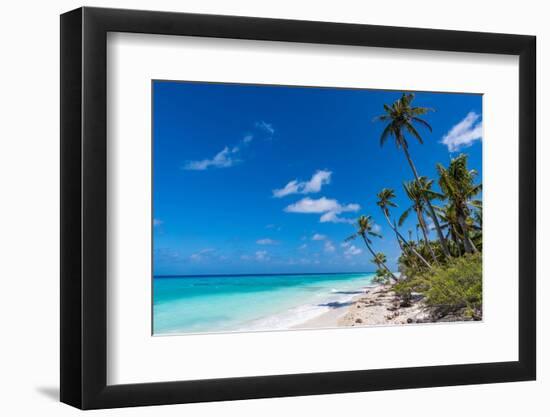 White sand PK-9 beach, Fakarava, Tuamotu archipelago, French Polynesia-Michael Runkel-Framed Photographic Print