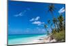 White sand PK-9 beach, Fakarava, Tuamotu archipelago, French Polynesia-Michael Runkel-Mounted Photographic Print