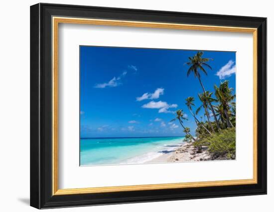 White sand PK-9 beach, Fakarava, Tuamotu archipelago, French Polynesia-Michael Runkel-Framed Photographic Print