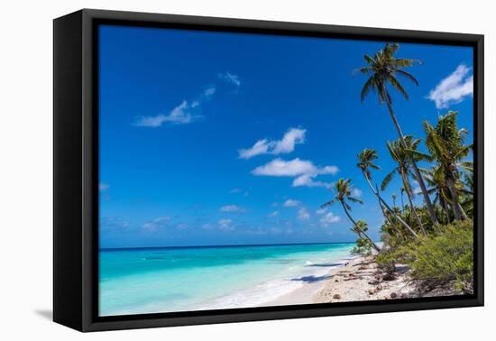 White sand PK-9 beach, Fakarava, Tuamotu archipelago, French Polynesia-Michael Runkel-Framed Premier Image Canvas