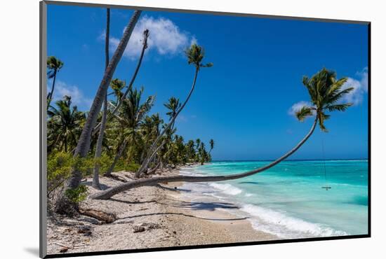 White sand PK-9 beach, Fakarava, Tuamotu archipelago, French Polynesia-Michael Runkel-Mounted Photographic Print