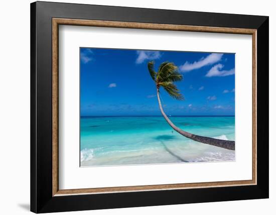White sand PK-9 beach, Fakarava, Tuamotu archipelago, French Polynesia-Michael Runkel-Framed Photographic Print