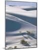 White Sands Desert, New Mexico, USA-Adam Woolfitt-Mounted Photographic Print