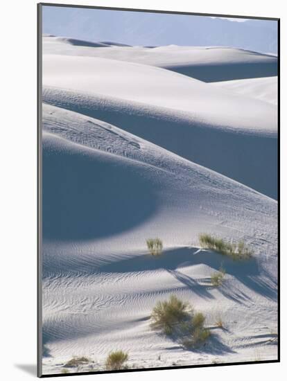 White Sands Desert, New Mexico, USA-Adam Woolfitt-Mounted Photographic Print