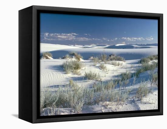 White Sands Desert, New Mexico, USA-Adam Woolfitt-Framed Premier Image Canvas