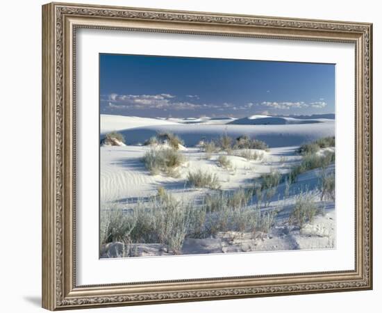 White Sands Desert, New Mexico, USA-Adam Woolfitt-Framed Photographic Print