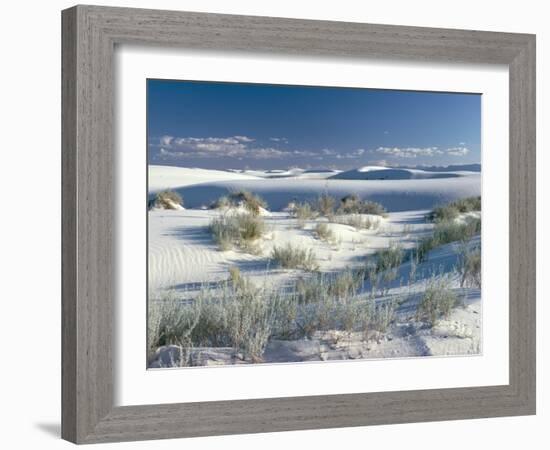 White Sands Desert, New Mexico, USA-Adam Woolfitt-Framed Photographic Print