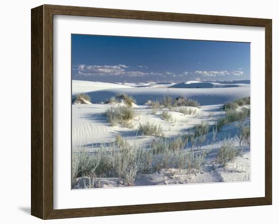 White Sands Desert, New Mexico, USA-Adam Woolfitt-Framed Photographic Print