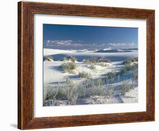 White Sands Desert, New Mexico, USA-Adam Woolfitt-Framed Photographic Print