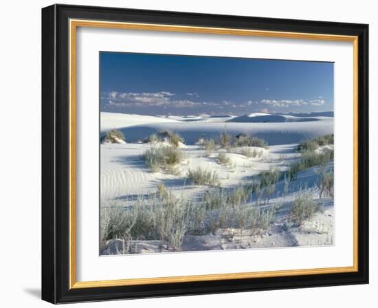 White Sands Desert, New Mexico, USA-Adam Woolfitt-Framed Photographic Print